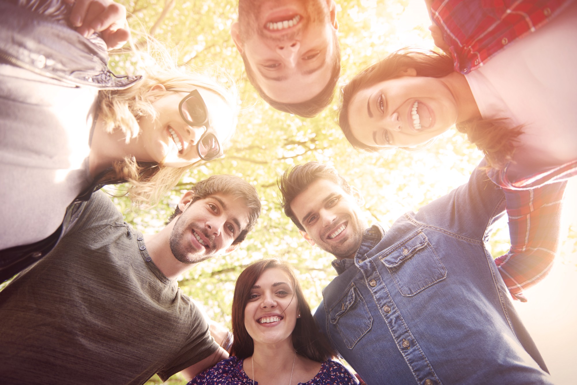 Header banner image